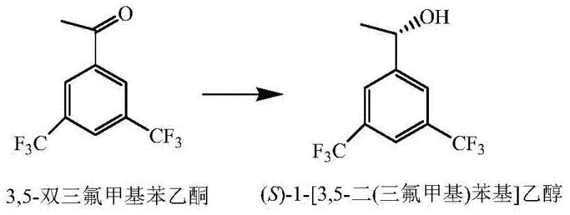Chemical reaction scheme showing the asymmetric reduction of 3,5-bis(trifluoromethyl)acetophenone to (S)-1-[3,5-bis(trifluoromethyl)phenyl]ethanol catalyzed by ChKRED03