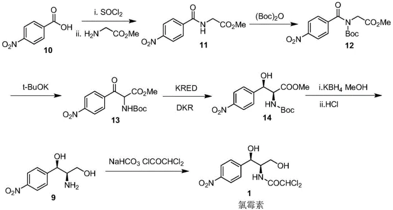New biocatalytic route for chloramphenicol intermediate showing enzymatic reduction steps