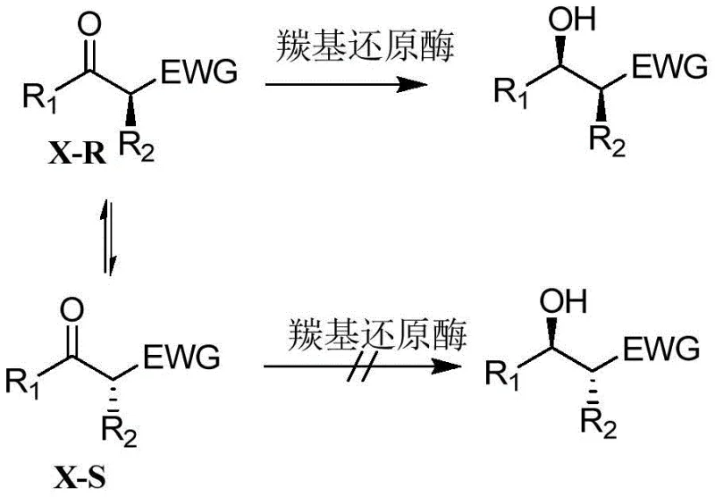 Mechanism of dynamic kinetic resolution showing enzyme selectivity and substrate racemization