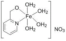 Chemical structure of the supported nano iron catalyst complex featuring pyridine ligands and iron center