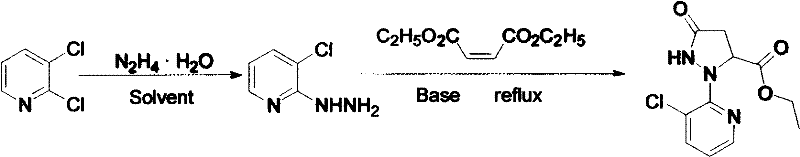 Reaction scheme showing the two-step synthesis from 2,3-dichloropyridine to the pyrazolidinone ester