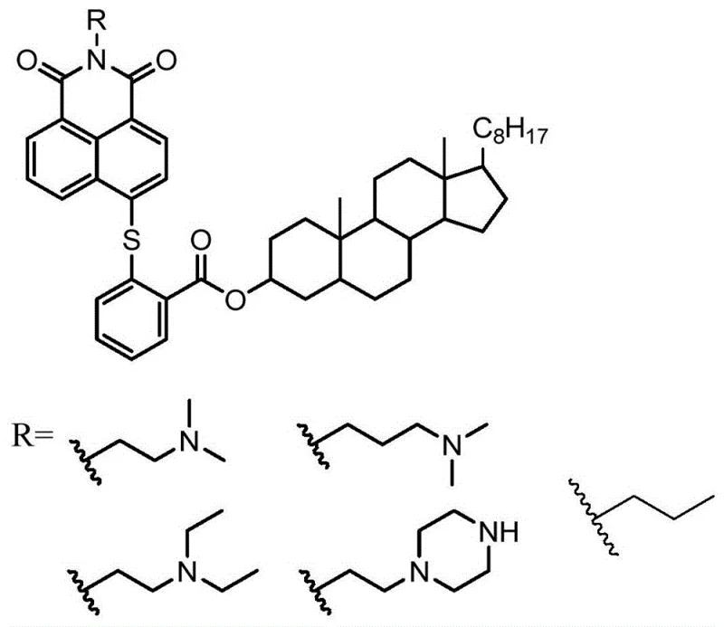 General chemical structure of naphthalimide derivatives showing variable R groups including diamines and piperazines