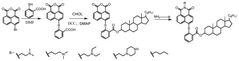 Complete three-step synthetic route from 4-bromo-1,8-naphthalic anhydride to final cholesterol-naphthalimide derivatives