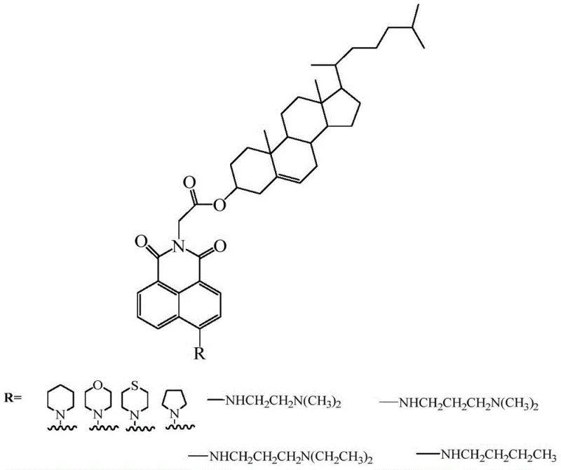 General chemical structure of cholesterol-containing naphthalimide derivatives showing variable amine substituents