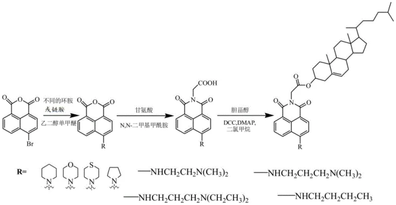 Overall synthetic route showing the three-step transformation from bromo-naphthalic anhydride to the final cholesterol conjugate