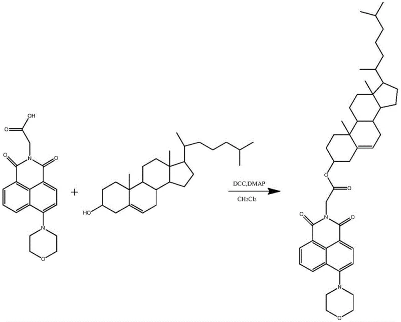 Detailed reaction scheme for the final esterification step using DCC and DMAP catalysts