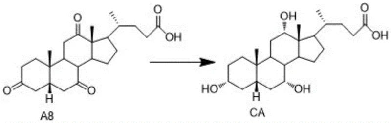 Reaction scheme showing the selective reduction of intermediate A8 to final Cholic Acid (CA)