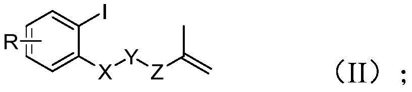 Chemical structure of iodoarene precursor compound (II) showing R substituent and X-Y-Z linkage