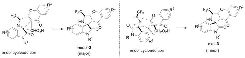 Reaction mechanism showing endo and exo cycloaddition pathways catalyzed by DMAP