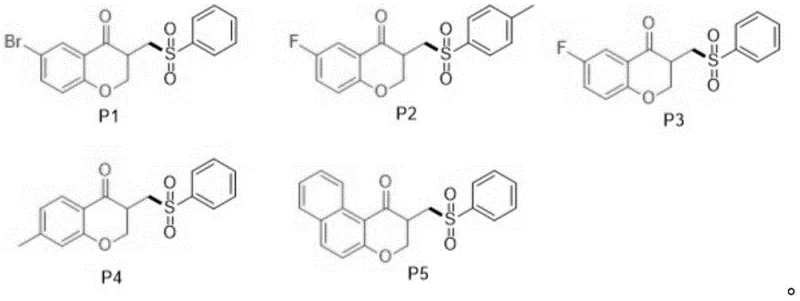 Diverse library of synthesized chromanone compounds P1-P5 demonstrating substrate scope