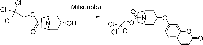 Mitsunobu coupling reaction converting endo-alcohol to exo-ether using Troc protection
