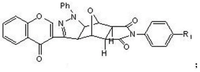 Specific example structure of the final norcantharidin derivative product