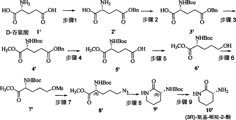 Detailed synthetic scheme showing the conversion of D-Glutamic acid to (3R)-amido-piperidine-2-one