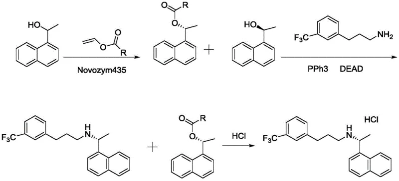 Novel chemo-enzymatic synthetic route involving lipase resolution and Mitsunobu coupling