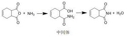Reaction scheme showing the conversion of cis-1,2,3,6-tetrahydrophthalic anhydride to cis-1,2,3,6-tetrahydrophthalimide via an amide intermediate