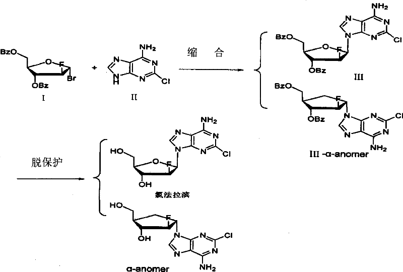 Synthetic route showing condensation and deprotection leading to alpha and beta anomer mixture