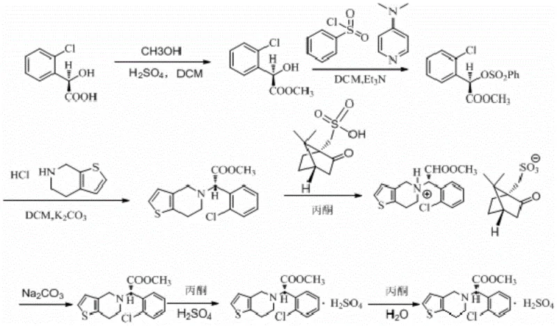 Complete synthetic route for Clopidogrel Hydrogen Sulfate Form II showing reaction steps and conditions