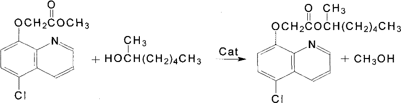 Reaction scheme showing the transesterification synthesis of Cloquintocet-mexyl from the methyl ester intermediate