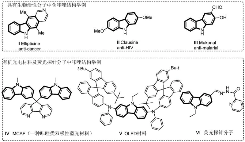 Examples of bioactive molecules and optoelectronic materials containing carbazole structures