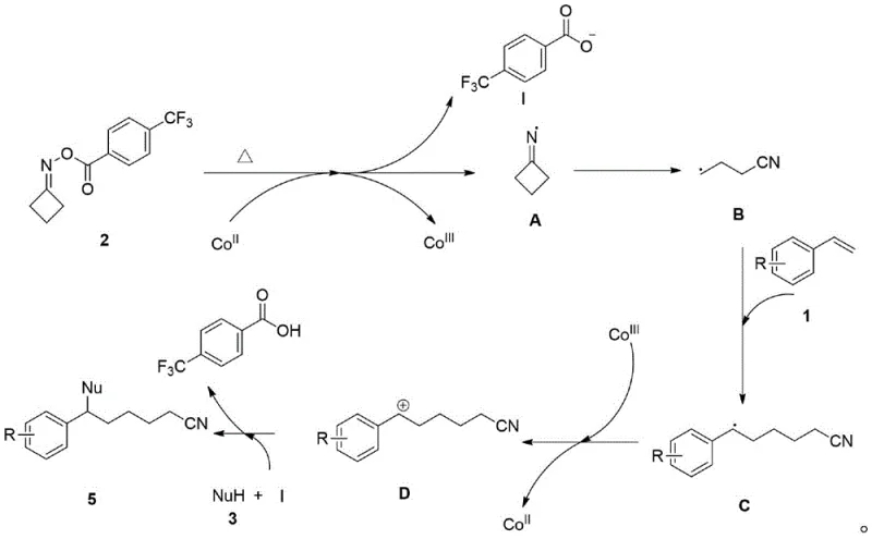 Proposed catalytic cycle mechanism showing Co(II)/Co(III) redox shuttle and radical intermediates