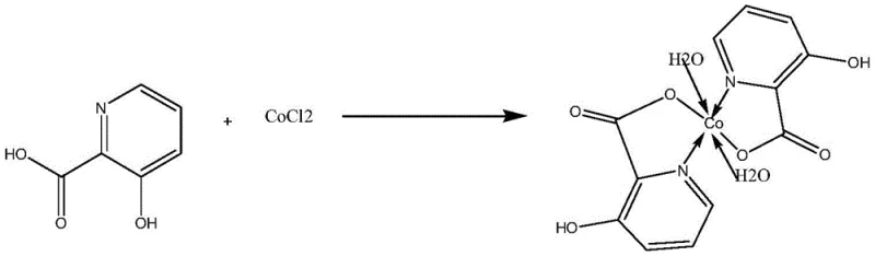 Synthesis reaction scheme showing the formation of the cobalt complex from 3-hydroxy-2-pyridine carboxylic acid and cobalt chloride