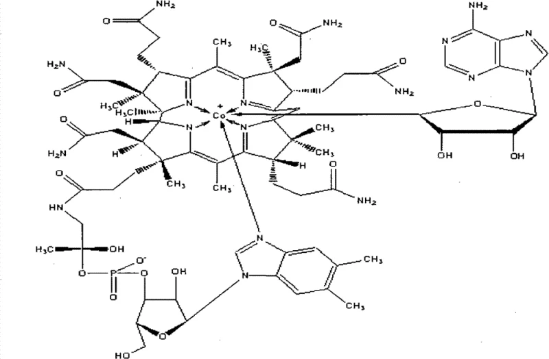 Chemical Structure of Cobamamide Vitamin B12 Coenzyme showing complex corrin ring and side chains