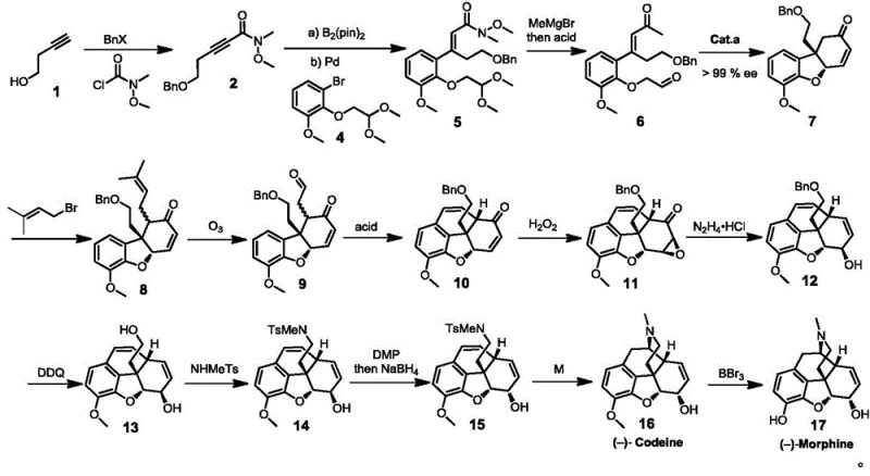 Complete synthetic route overview from simple starting materials to Codeine and Morphine