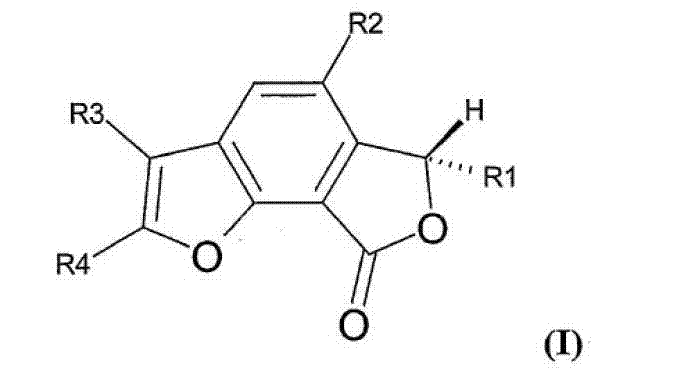 General chemical structure of Concentricolide and its analogues showing variable substituents R1-R5