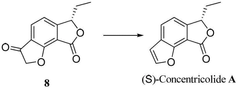 Final conversion step from intermediate 12 to (S)-Concentricolide A showing reduction and dehydration
