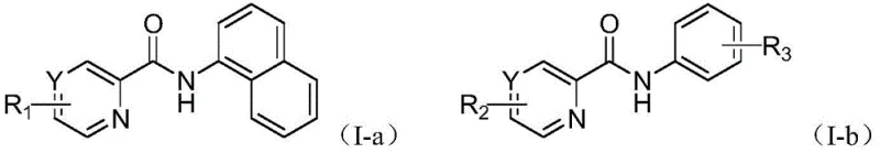General reaction scheme showing copper-catalyzed conversion of N-aryl amides to halogenated products using N-halosuccinimide