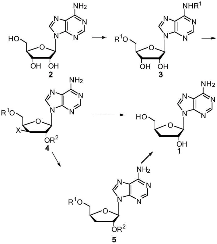 Novel synthetic route for cordycepin via acylation and catalytic transfer hydrogenation