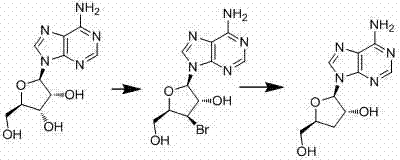 Reaction scheme showing the conversion of Adenosine to 4-bromo intermediate and subsequent reduction to Cordycepin