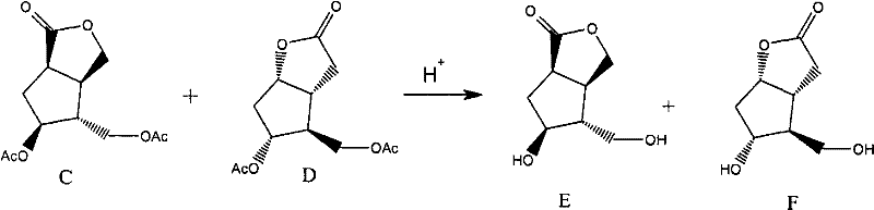 Hydrolysis of intermediates C and D to final products E and F