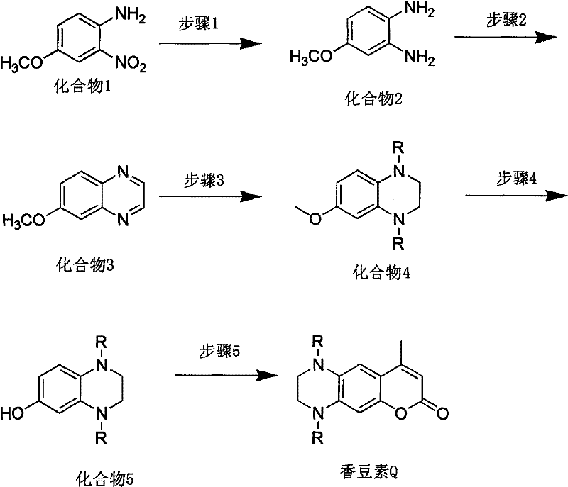 Complete five-step synthetic route for Coumarin Q laser dye showing transformation from nitro-anisole to final coumarin structure
