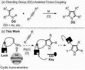 Comparison of DG-Assisted Cross-Coupling versus Lock-Assisted Trans-Enamine Strategy
