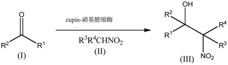 Comparison of conversion and ee values for AcHNL and GtHNL variants in nitroaldol reaction