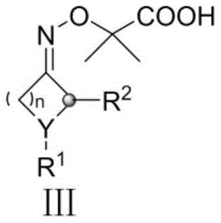 Structure of cycloalkanone oxime precursor used for generating cyanoalkyl radicals