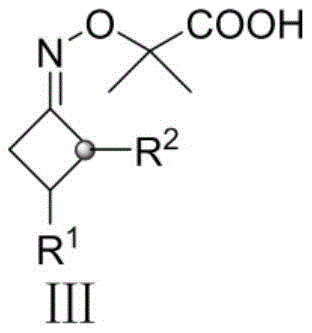 Structure of cyclobutanone oxime reactants (Formula III)