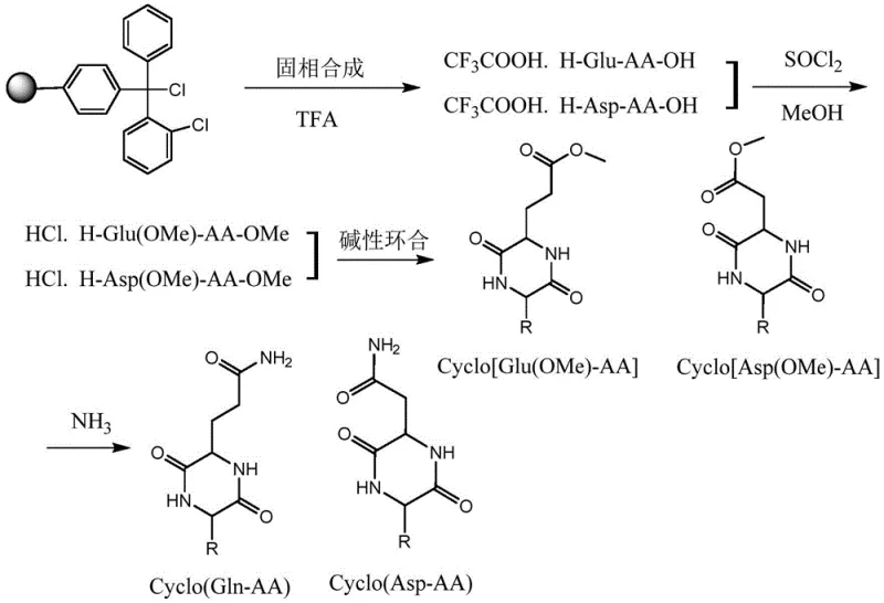 Complete synthetic route showing solid-phase synthesis esterification cyclization and aminolysis steps