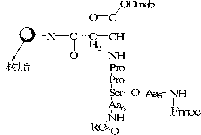 Structure of the protected cyclization precursor showing the branching point for ester bond formation