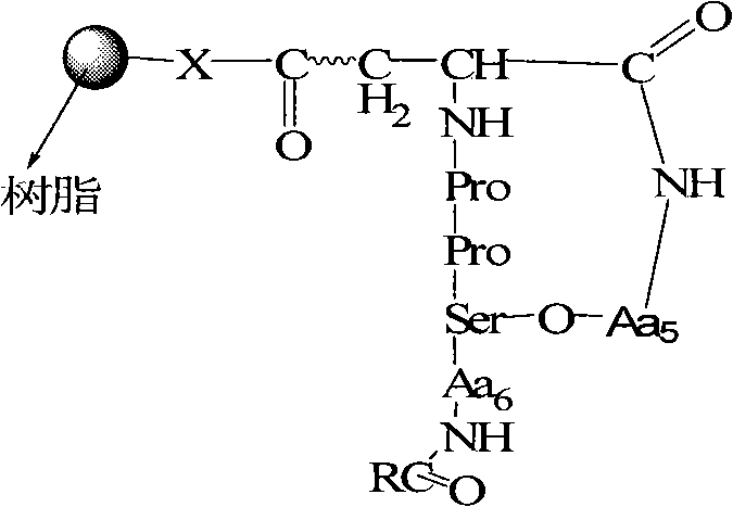 Complete solid-phase synthesis route showing linear elongation, side-chain coupling, and cyclization steps