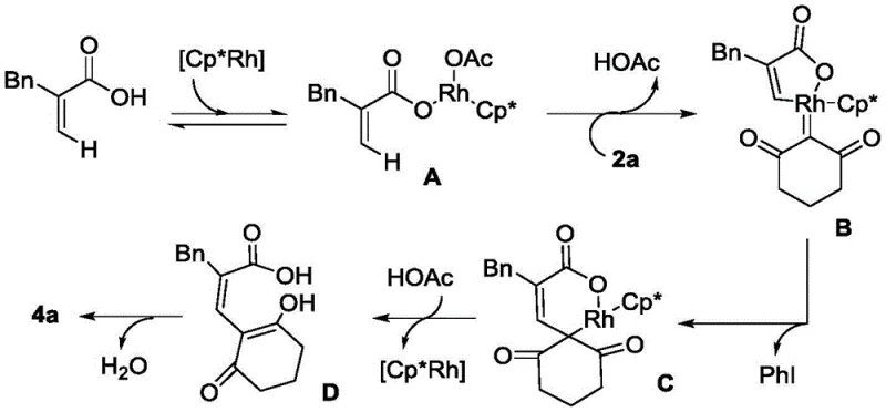 Proposed catalytic cycle mechanism showing rhodium intermediates and bond formation steps