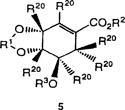 General structural formulae of cyclohexene carboxylate derivatives used as neuraminidase inhibitor intermediates