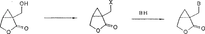 Reaction scheme showing conversion of hydroxymethyl lactone to leaving group and subsequent coupling with purine base