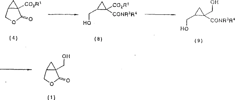 Alternative synthesis route via amide intermediate to diol and lactone