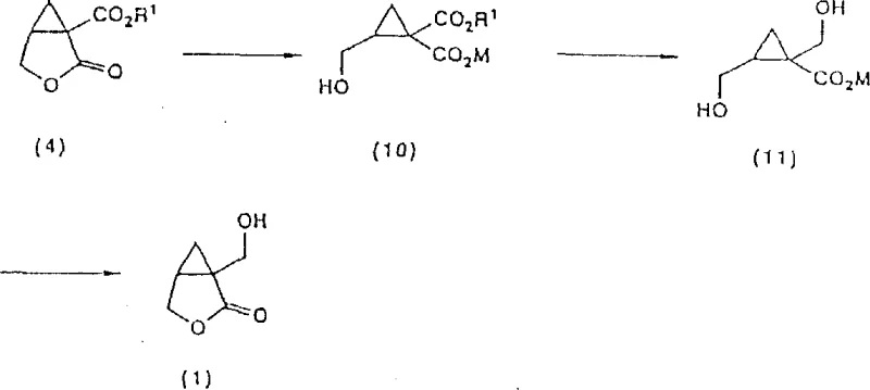 Synthesis route via hydroxy-ester intermediate reduced to diol and cyclized