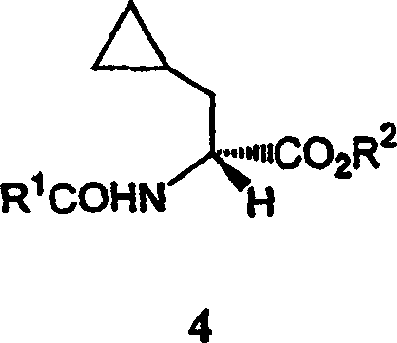 General chemical structure of enantiomerically enriched cyclopropylalanine derivatives (Formula 4 and 5)