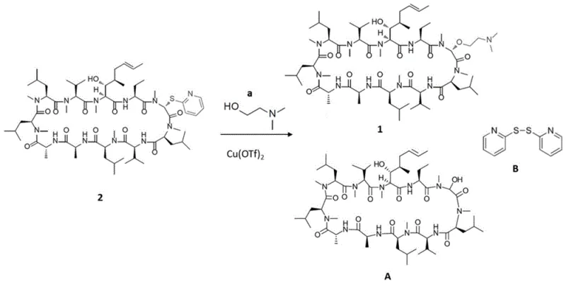 Reaction scheme showing formation of Compound 1 versus hydrolytic Side Product A and B