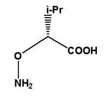 Chemical structure of D-2-aminooxy-3-methylbutyric acid showing the unique N-O bond configuration