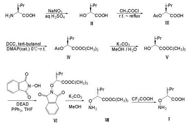 Complete seven-step synthesis route from L-Valine to D-2-aminooxy-3-methylbutyric acid